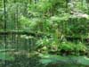 park Ba�antnice - jez�rko