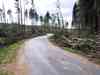 polom po v�trn� smr�ti 25.6.2008